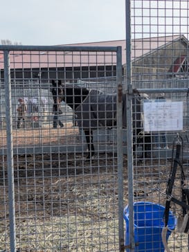 ノーザンホースパークに投稿された画像（2025/11/24）