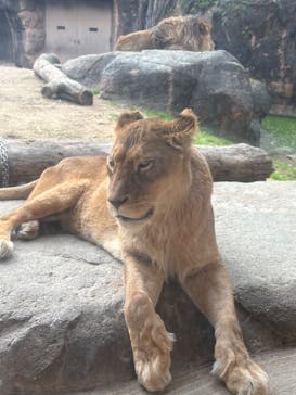 天王寺動物園に投稿された画像（2025/11/24）