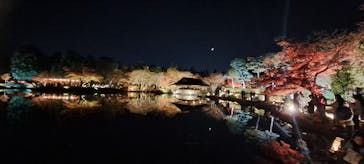 国営昭和記念公園 秋の夜散歩に投稿された画像（2025/11/24）