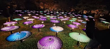 国営昭和記念公園 秋の夜散歩に投稿された画像（2025/11/24）