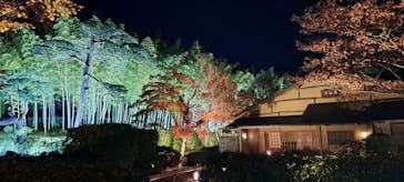 国営昭和記念公園 秋の夜散歩に投稿された画像（2025/11/24）