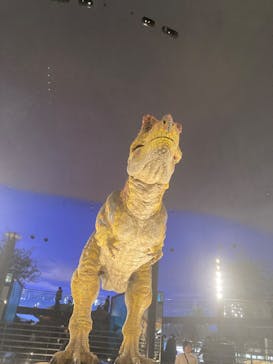 福井県立恐竜博物館に投稿された画像（2025/11/24）