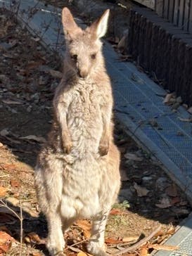 こども動物自然公園（埼玉県公園緑地協会）に投稿された画像（2025/11/24）