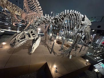 福井県立恐竜博物館に投稿された画像（2025/11/24）