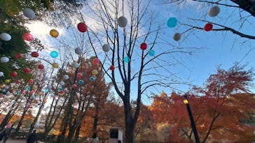 ムーミンバレーパークに投稿された画像（2025/11/24）