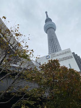 東京スカイツリーに投稿された画像（2025/11/24）