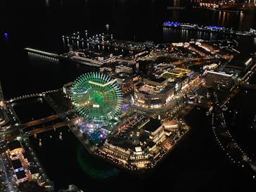 横浜ランドマークタワー 69階展望フロア スカイガーデンに投稿された画像（2025/11/24）