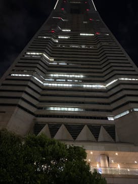 横浜ランドマークタワー 69階展望フロア スカイガーデンに投稿された画像（2025/11/24）