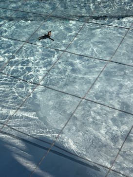 葛西臨海水族園に投稿された画像（2025/11/24）