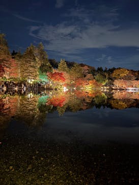 国営昭和記念公園 秋の夜散歩に投稿された画像（2025/11/24）