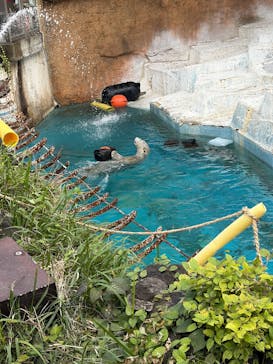 天王寺動物園に投稿された画像（2025/11/24）