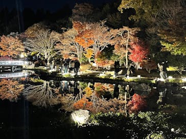 国営昭和記念公園 秋の夜散歩に投稿された画像（2025/11/24）