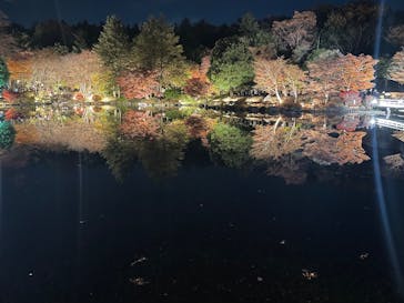 国営昭和記念公園 秋の夜散歩に投稿された画像（2025/11/24）