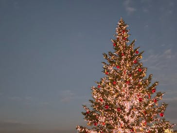 Christmas Market in 横浜赤レンガ倉庫 2025に投稿された画像（2025/11/24）