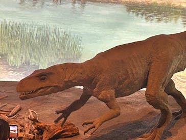 福井県立恐竜博物館に投稿された画像（2025/11/24）