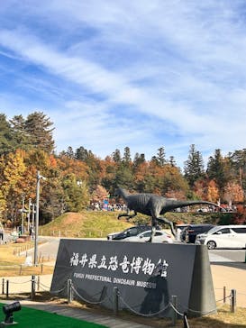 福井県立恐竜博物館に投稿された画像（2025/11/24）