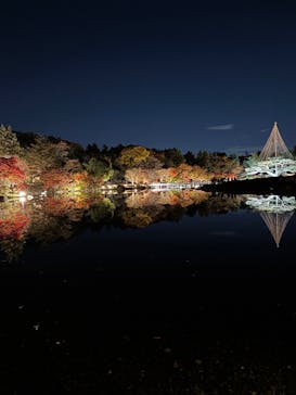 国営昭和記念公園 秋の夜散歩に投稿された画像（2025/11/24）