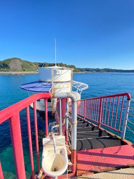 串本海中公園水族館に投稿された画像（2025/11/24）