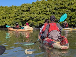 サウスワードカヤッククラブに投稿された画像（2025/11/24）