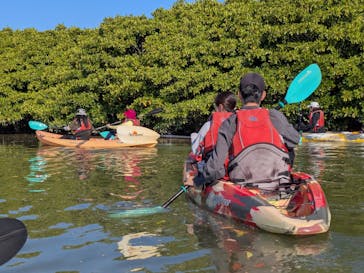 サウスワードカヤッククラブに投稿された画像（2025/11/24）