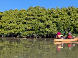 サウスワードカヤッククラブに投稿された画像（2025/11/24）