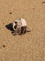 サウスワードカヤッククラブに投稿された画像（2025/11/24）