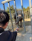 しろとり動物園に投稿された画像（2025/11/25）