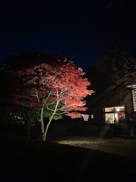 江戸東京たてもの園に投稿された画像（2025/11/24）