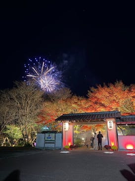 修善寺虹の郷に投稿された画像（2025/11/24）