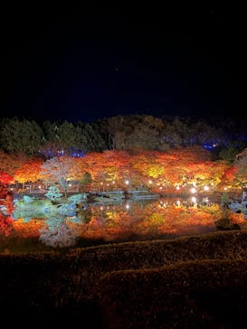 修善寺虹の郷に投稿された画像（2025/11/24）