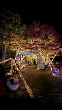 修善寺虹の郷に投稿された画像（2025/11/24）