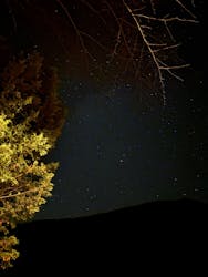 大井川鐵道株式会社に投稿された画像（2025/11/24）