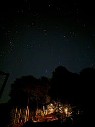 大井川鐵道株式会社に投稿された画像（2025/11/24）