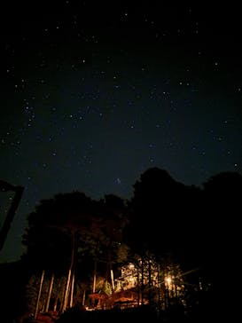 大井川鐵道株式会社に投稿された画像（2025/11/24）