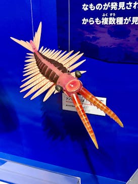 特別展「大絶滅展―生命史のビッグファイブ」に投稿された画像（2025/11/24）