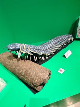 特別展「大絶滅展―生命史のビッグファイブ」に投稿された画像（2025/11/24）