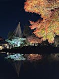 国営昭和記念公園 秋の夜散歩に投稿された画像（2025/11/25）