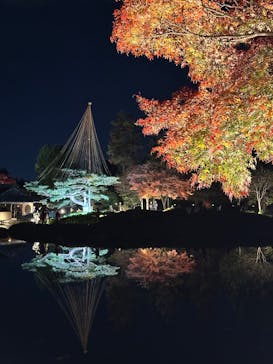 国営昭和記念公園 秋の夜散歩に投稿された画像（2025/11/24）