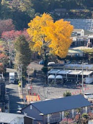 小田原城に投稿された画像（2025/11/24）