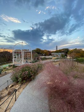 名古屋市東山動植物園に投稿された画像（2025/11/24）