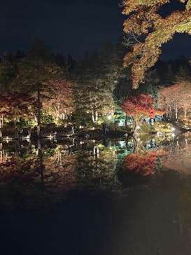 国営昭和記念公園 秋の夜散歩に投稿された画像（2025/11/24）