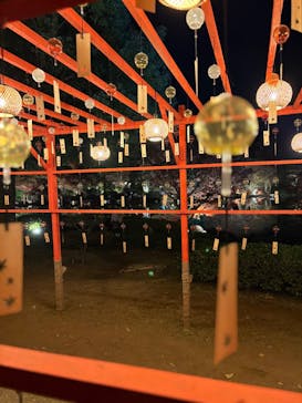 国営昭和記念公園 秋の夜散歩に投稿された画像（2025/11/24）