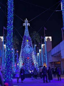 ひらかたパークに投稿された画像（2025/11/24）