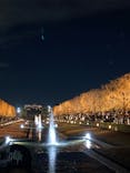 国営昭和記念公園 秋の夜散歩に投稿された画像（2025/11/25）
