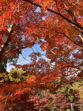 名古屋市東山動植物園に投稿された画像（2025/11/24）