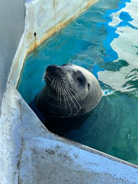 南知多ビーチランド＆南知多おもちゃ王国に投稿された画像（2025/11/24）