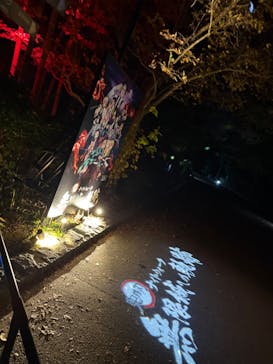 ニジゲンノモリに投稿された画像（2025/11/24）