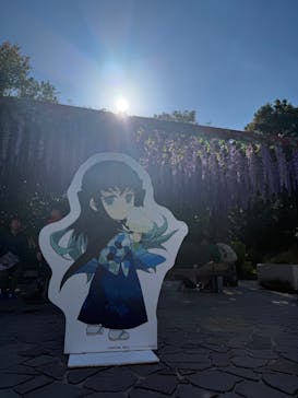 ニジゲンノモリに投稿された画像（2025/11/24）