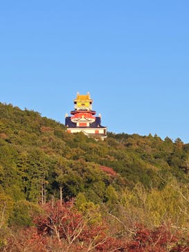 伊勢忍者キングダムに投稿された画像（2025/11/24）