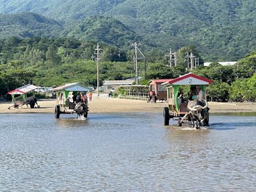 西表島 ADVENTURE PiPi（アドベンチャーピピ）に投稿された画像（2025/11/24）